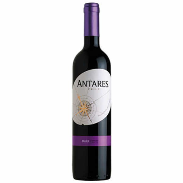 Vinho Tinto Antares Merlot 